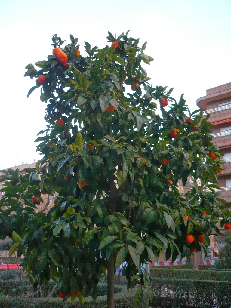 P1090561