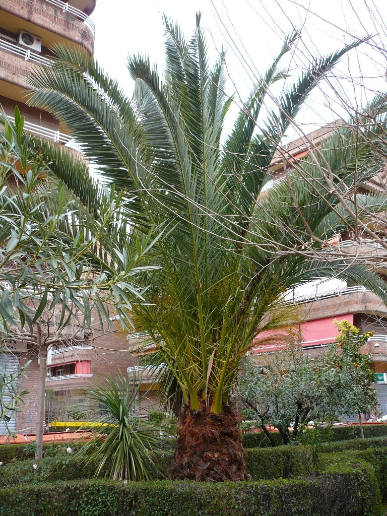 P1090572