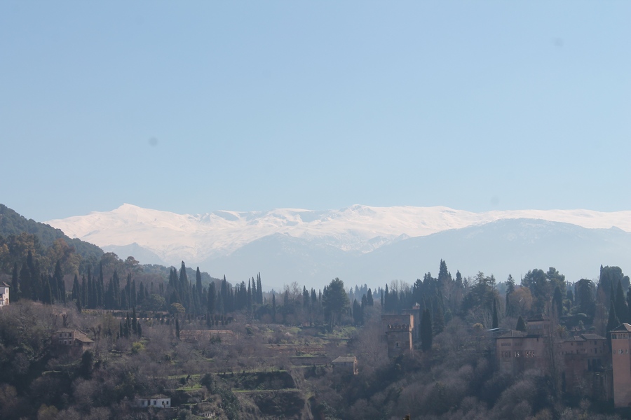 IMG 0861