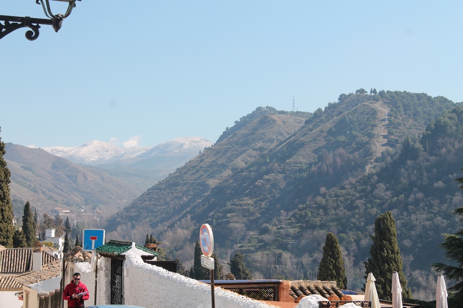 IMG 0862