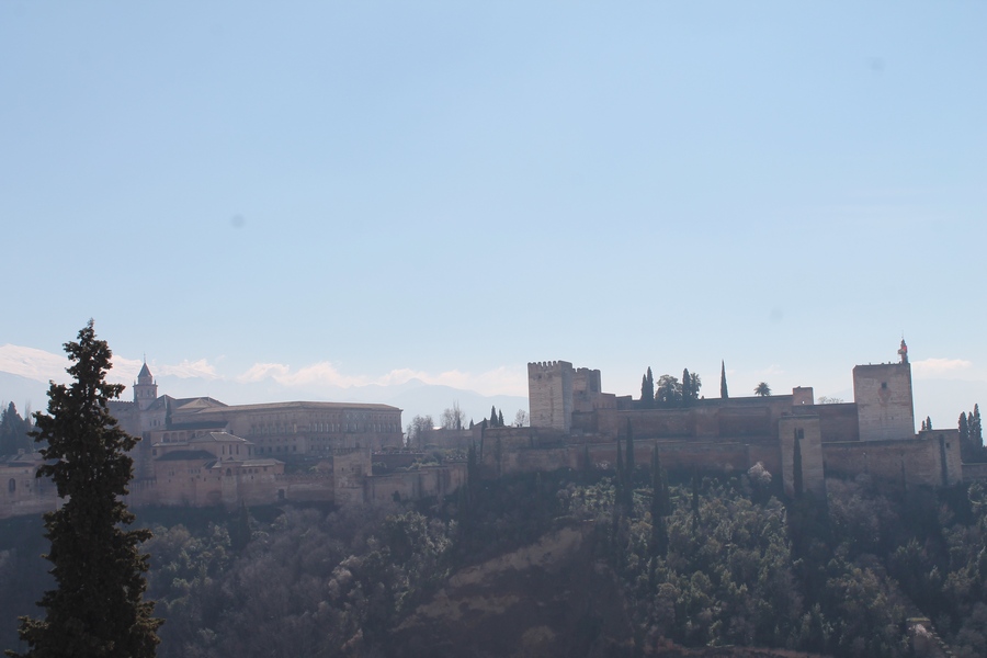 IMG 0863