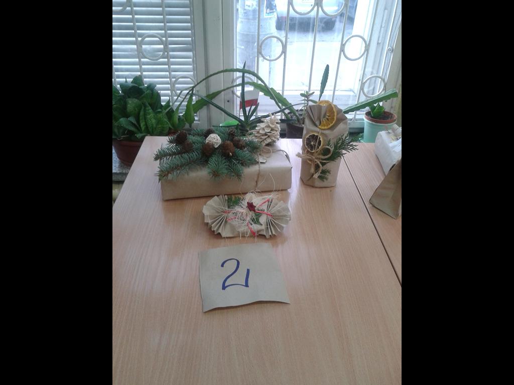 Zdjęcie-0221